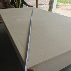 Lámina de Contrachapado de <span class=keywords><strong>Abedul</strong></span>, Grado Mueble, Impermeable E0, 4x8, 1220x2440mm, Panel Interior para Armarios y Gabinetes, FANGSI - Product Image 6