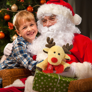 <span class=keywords><strong>Juguete</strong></span> <span class=keywords><strong>de</strong></span> Peluche <span class=keywords><strong>de</strong></span> Reno Navideño <span class=keywords><strong>de</strong></span> 22 cm, Bonito, <span class=keywords><strong>de</strong></span> Fábrica China, para Niños y Niñas, Decoración para el Hogar, Dormitorio, Fiestas, Regalo <span class=keywords><strong>de</strong></span> Año Nuevo e Invierno - Product Image 1