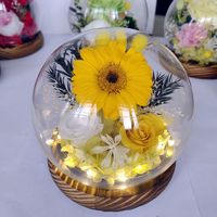 Kubah Kaca Bunga Awet Mawar Asli - untuk Hari Valentine, Hari Ibu & Pernikahan; Hadiah Bunga Awet Terlaris