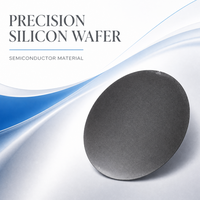 Wafer Silikon Tipe P/N Dari Cina dengan Laporan Sertifikasi Data Kinerja Terverifikasi dan Ulasan Spesifikasi Teknis