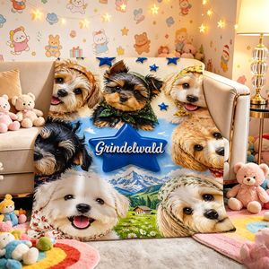 Couverture en flanelle à motifs de chats de dessin animé mignons, couverture de sieste légère et résistante à la décoloration pour les voyages et le camping, impression personnalisée OEM ODM Y - Product Image 4