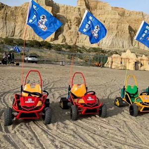 Mini Tractor de 1800W, chasis de carreras, <span class=keywords><strong>Go</strong></span> <span class=keywords><strong>Kart</strong></span> eléctrico para niños con Racing <span class=keywords><strong>GP</strong></span> Buggy, nueva condición, Material de goma, venta para adultos - Product Image 2