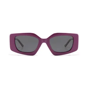 2024 New Special Style Acetate Sunglasses Polarized Square Metal Retro Acetate Sun Glasses For Women
