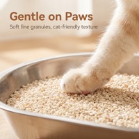 Litière pour chat en tofu à base de particules végétales naturelles concassées, faible teneur en poussière, agglomération rapide, jetable dans les toilettes, écologique