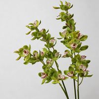 SPR Grosir Anggrek Cymbidium Buatan 7 Kepala, Bunga Putih & Hijau Lateks Sentuhan Asli untuk Dekorasi Pernikahan Natal Rumah.