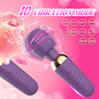 Bester Vibrator für Frauen Silent Small Nipple Clitoral Massager