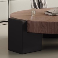 Salon moderne simple Durable de haute qualité couleur noyer en bois minimaliste multifonction facile à assembler Table basse