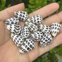 Coquillages coniques hébraïques naturels Conus Ebraeus, pendentif en acier inoxydable, breloques pour bijoux DIY, boucles d'oreilles Hawaï