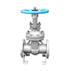 Source factory SS304 Stainless Steel Two Ways ANSI Solid Wedge Gate Valve flange