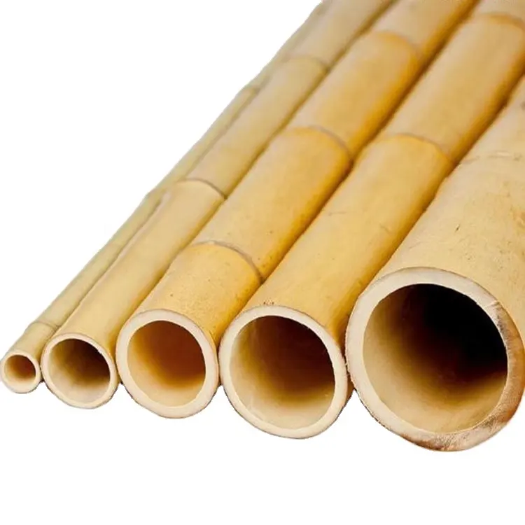 Bastões de bambu moso naturais para construção, bastão de bambu moso
