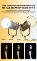 Lumière LED en métal de haute qualité 300 W pour la photographie et la vidéo, lumière d'appoint pour les produits et les portraits, solution d'éclairage de studio