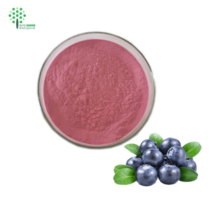 Высокое качество Черничный экстракт порошок спрей сухой экстракт плодов черники - Product Image 3
