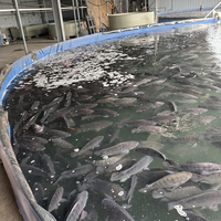 Réservoir d'eau en acier galvanisé de grande capacité, robuste et durable, pour l'équipement d'élevage de poissons agricoles, certification CE