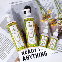 Afro OEM Shampooing Personnalisé Vente en Gros Marque Privée Soins des Cheveux Huile de Ricin Bio Ensemble de Shampooing et Après-Shampooing Huile de Croissance des Cheveux
