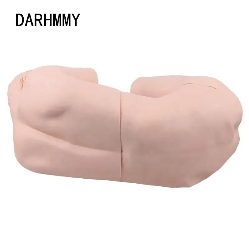 DARHMMY Advanced Life-size Human Body Lumbar Puncture Training Model