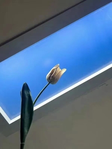 DGLUX Diseño moderno Estilo Directo de fábrica Alta calidad 90 Ventanas <span class=keywords><strong>Tragaluz</strong></span> Panel de luz de <span class=keywords><strong>techo</strong></span> LED inteligente Iluminación de cielo azul - Product Image 5