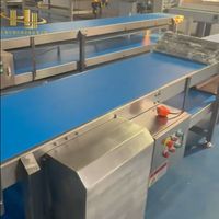 Convoyeur coulissant hygiénique en acier inoxydable 304 : Solution rétractable prête à l'emploi pour zones sanitaires