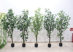 Palmier artificiel de jardin au design spécial, best-seller, 170 cm, vert - Product Image 6