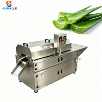 Commerciële Aloë Vera Schilmachine Automatische Aloë Vera Schilapparatuur voor verse Aloë Vera bladeren