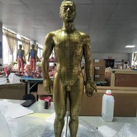 Modèle d'acupuncture chinoise en PVC, corps masculin/féminin, directement de l'usine, pour l'éducation en MTC et la pratique de l'acupuncture Deren DRRTXW
