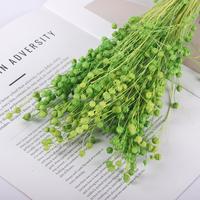 Dekorative Blumen Natürliche echte getrocknete Pflanzen und Blumen Bunte Jequirity Acacia Bean Home Decor DIY Harzform Material