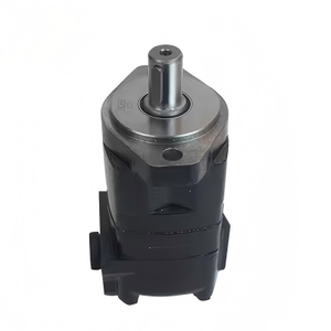 Motor Hidráulico Geroler BMK2 65cc de Hierro Fundido con Montaje de Brida de 2 Pernos, Eje de 50mm y 500 psi para Construcción - Product Image 1