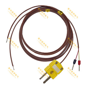 Sensor de Temperatura Termopar Tipo K TT K 24 SLE con Conexión Rápida y Cable de Compensación de Alta Precisión - Product Image 1