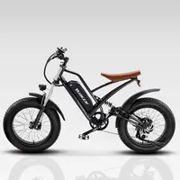 New Style Elektro fahrrad 48v 1000w Heckmotor Ebike 2 Rad 20 Zoll Fat Tire Elektro fahrrad faltbar für Strand