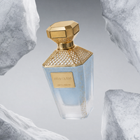 Flacon de parfum en verre vide de 30 ml, 50 ml, 100 ml, design octogonal, grille dorée décorative, couvercle artistique irrégulier avec emballage cadeau