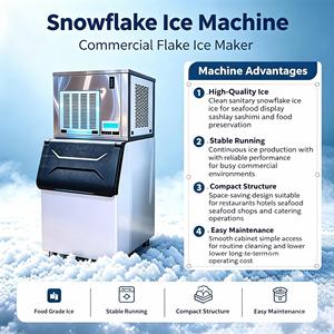 Machine à glace en flocons commerciale série WLR, production quotidienne de 600 kg, qualité alimentaire, pour les entreprises - Product Image 3