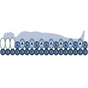 Colchón de aire tubular personalizable lavable y transpirable con control de ajuste con bomba - Product Image 2