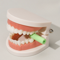Aligneur orthodontique polyvalent pour dents Chewies Produit d'hygiène buccale