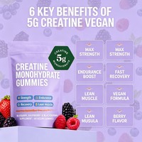 Gummies de créatine monohydrate véganes et sans sucre pour la force, l'endurance, la récupération et la masse musculaire maigre – OEM/ODM, logo personnalisé