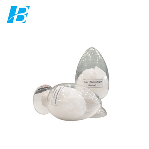 Collagène porcin Poudre - Product Image 2