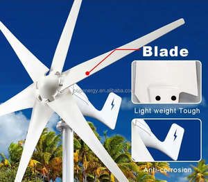 Éolienne à axe horizontal (HAWT) - 2KW 12v 24v 48v Haute efficacité pour usage industriel et commercial - Product Image 3