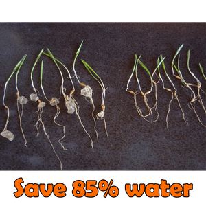 Valor superior de tipo poliacrilato potasio súper absorbente polímero con <span class=keywords><strong>precio</strong></span> competitivo para resolver la sequía problema - Product Image 5