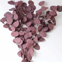 Fleurs Séchées Naturelles Multi Couleur Eucalyptus Pomme Forme Feuilles Préservé Plante Décoration pour La Maison