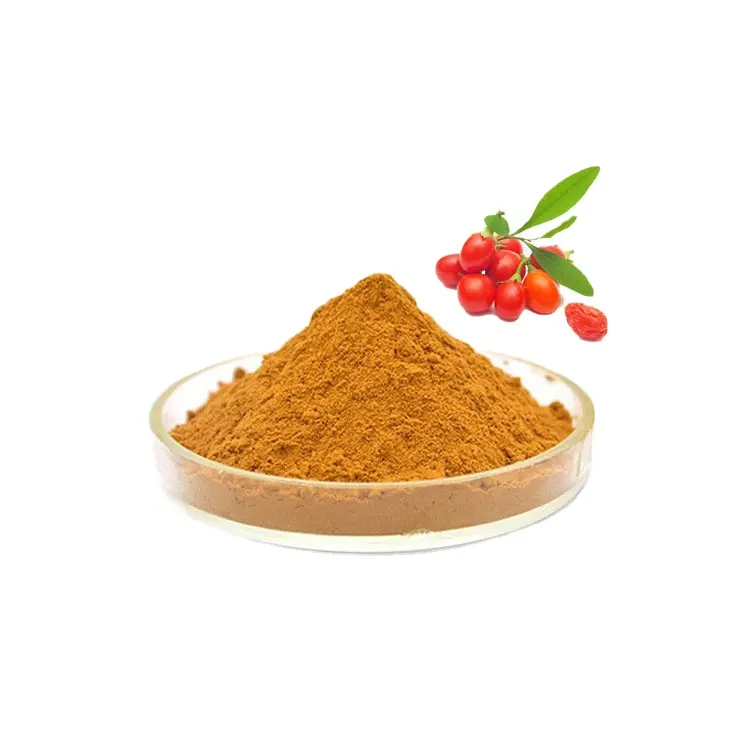 Großhandel Goji-Beere-Extrakt chinesisches Wolfberry-Extraktpulver Polysaccharide 50 %