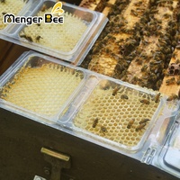 Verbesserte Menger Bee Transparente PET-Wabenkassetten-Box Komplettset 8-teilig Langstroth-Rahmen 1 Jahr Garantie Heimgebrauch Direktvertrieb