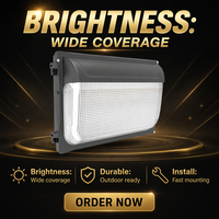 Applique murale LED DLC ETL 60W-40W-30W réglable avec capteur photocellule et CCT ajustable IP65 pour entrées d'hôtels
