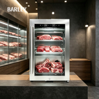 Mini congélateur électrique en acier inoxydable à refroidissement par air, sans givre, avec machine UV pour viande séchée, pour viande vieillie à sec, usage hôtelier et domestique