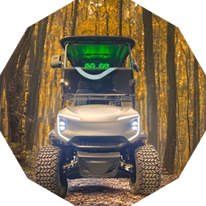 Mini voiturette de golf électrique au lithium 48V à prix compétitifs 4 places - Product Image 3