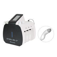Appareil anti-âge RF-Microneedle pour le lifting du visage, en acier inoxydable et plastique écologique, multifonction 2-en-1 pour usage professionnel en salon
