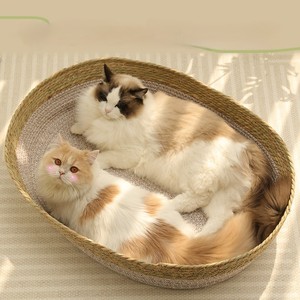 Lit rond tissé pour <span class=keywords><strong>chat</strong></span>, vente en gros d'usine, <span class=keywords><strong>panier</strong></span> rafraîchissant d'été pour <span class=keywords><strong>chat</strong></span> avec coussin, lit mignon pour chaton d'intérieur - Product Image 1