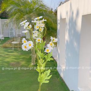 Flores Artificiales Kch Daisy, 30 Cabezas, de Seda, Realistas, Accesorios para Fotografía de Bodas, Decoración del Hogar - Product Image 4