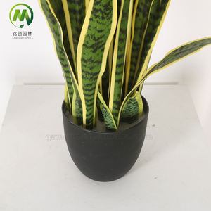 Bonsái <span class=keywords><strong>de</strong></span> follaje verde personalizado, planta <span class=keywords><strong>de</strong></span> bonsái <span class=keywords><strong>de</strong></span> simulación, plástico, Sansevieria Trifasciata, lluvia para paisajismo <span class=keywords><strong>de</strong></span> jardín - Product Image 5