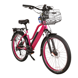 Bicicleta Eléctrica con Cuadro de Aluminio y Ruedas de 26 Pulgadas, Motor Trasero de 250W, EBB01 - Product Image 3