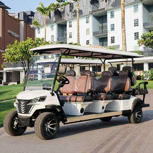 Golf Cart Cinese Omologato per Strada a 7-8 Posti, Buggy a Quattro Ruote con Motore a 2 Tempi - Product Image 5