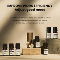 Huile Essentielle Composée Bio Personnalisée 10ml Arbre à Thé Orange 100% Pure Aromathérapie Huile Parfumée Mélange de Senteurs Solubles dans l'Eau