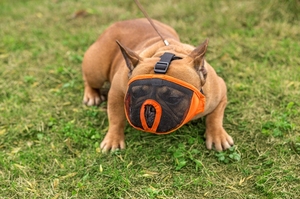 Venta caliente Bulldog Pet Bozal Nariz corta Perro Anti-mordedura y Anti-Barking Bozal - Product Image 6